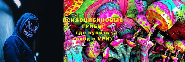 мдпв Абаза